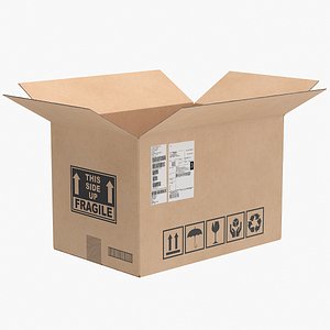 Cardboard Box 3 Open