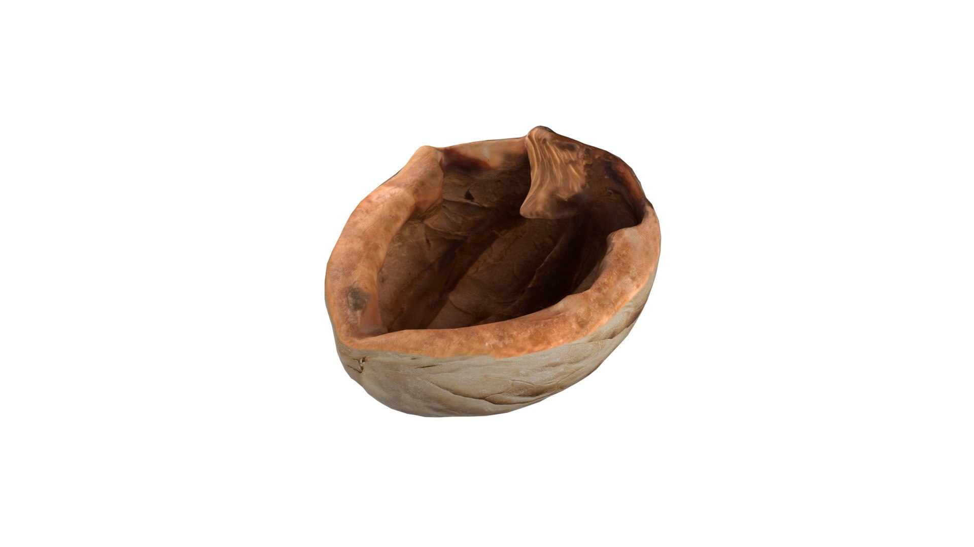 Walnut shell 3D model https://p.turbosquid.com/ts-thumb/TC/Fbx1MG/5B/1/jpg/1745464355/1920x1080/fit_q87/6de815ea6a2a6aea342d3fb80167a574fb14dd85/1.jpg