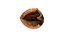 Walnut shell