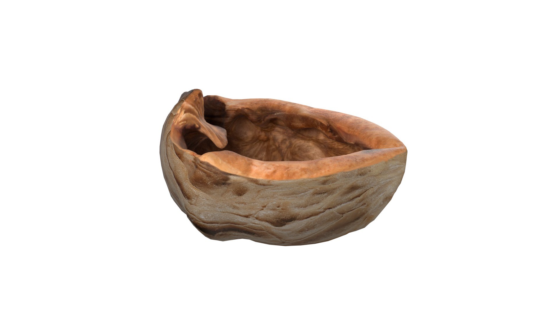 Walnut shell 3D model https://p.turbosquid.com/ts-thumb/TC/Fbx1MG/Op/2/jpg/1745464355/1920x1080/fit_q87/738136957d0776f312fe6584735473ce6cb2d8af/2.jpg
