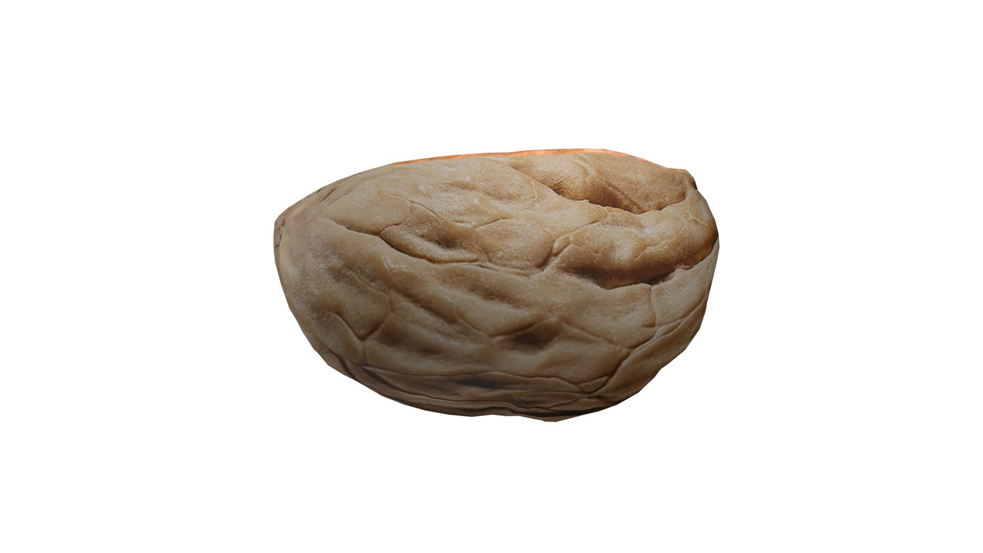 Walnut shell 3D model https://p.turbosquid.com/ts-thumb/TC/Fbx1MG/P7/4/jpg/1745407451/1920x1080/fit_q87/331b8455f392ae99ec72ac95316a5572f6c49414/4.jpg