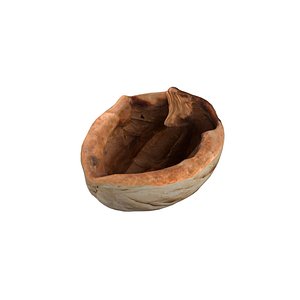 Walnut shell 3D model