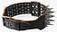 Dog Collar with Spikes Black