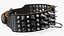 Dog Collar with Spikes Black