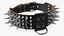 Dog Collar with Spikes Black