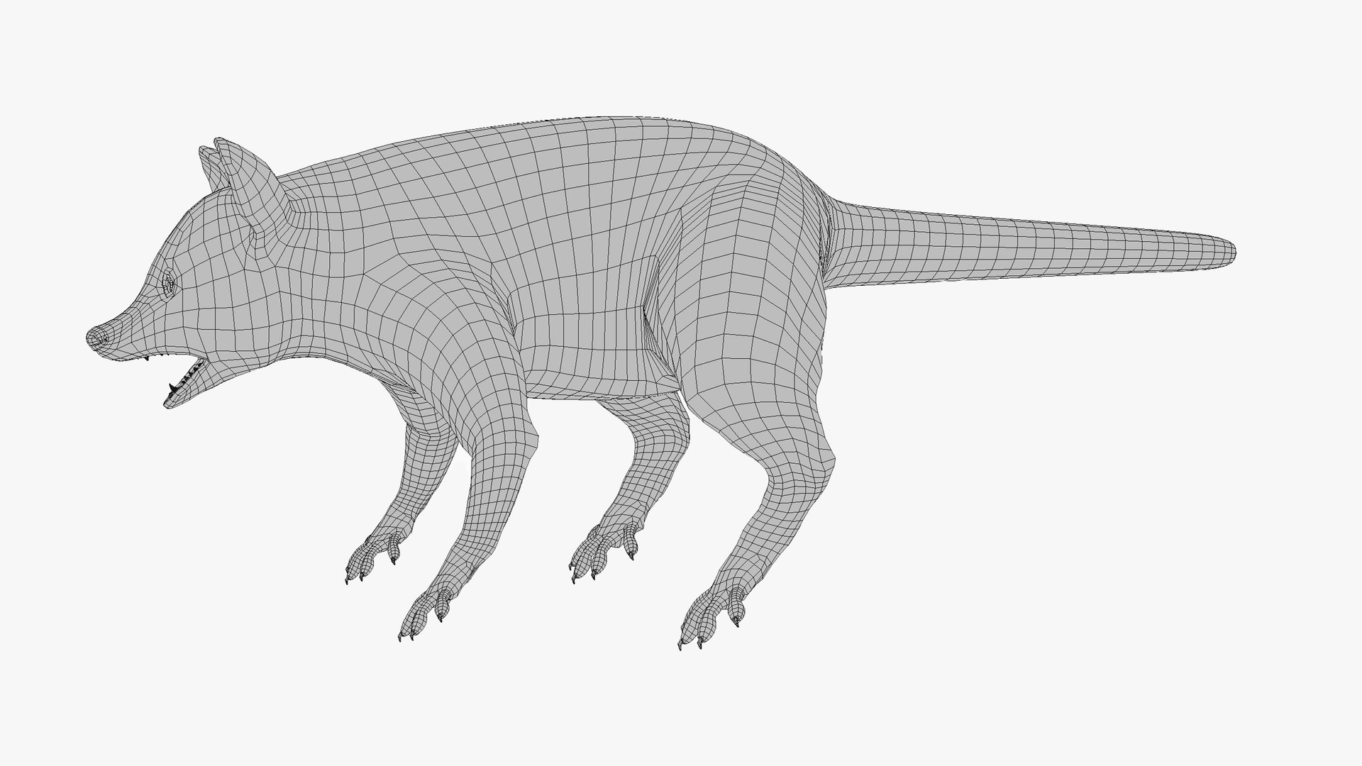 3D Wild Raccoon model - TurboSquid 1883034