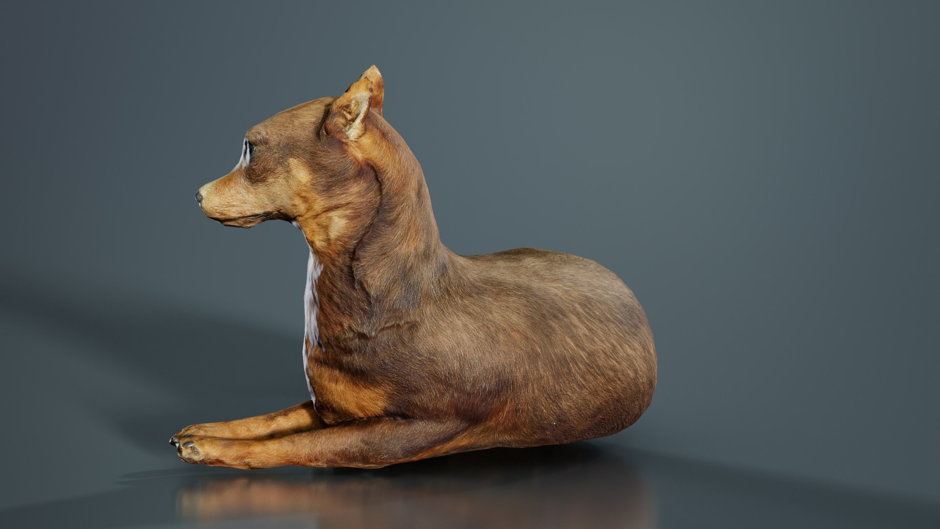 Dog Remastered 3D Model - TurboSquid 2359797