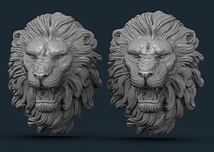 head 3D model