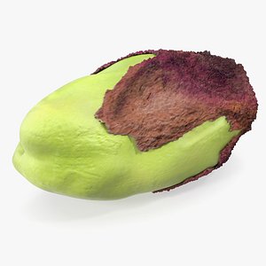 pistachio peeled 3D model