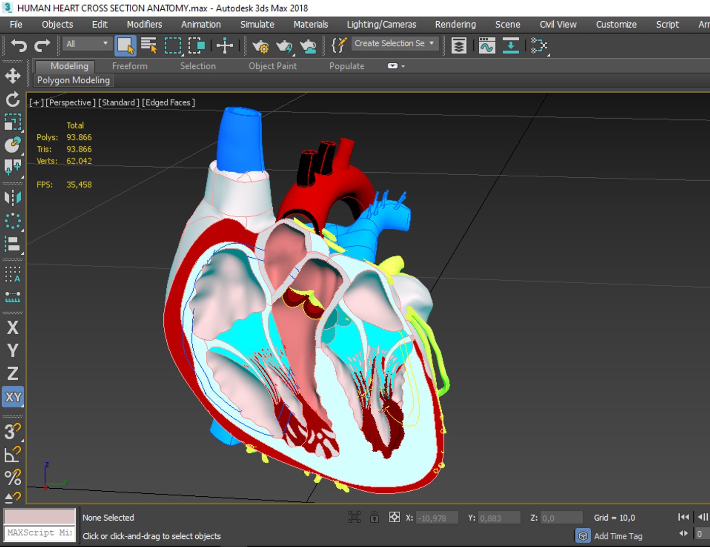 3D model humans heart https://p.turbosquid.com/ts-thumb/TC/ZCbKfe/COlLjRUW/screenshot371/png/1576859719/1920x1080/fit_q87/6c2e3487d302e5bfa7837159682e3ad925bc6450/screenshot371.jpg