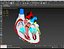 ANATOMÍA DE LA SECCIÓN CRUZADA DEL CORAZÓN HUMANO
