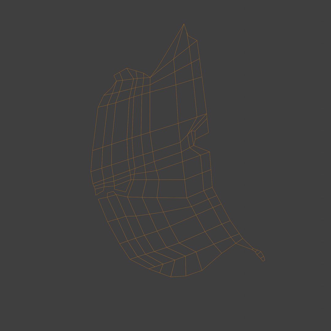 3D leaf https://p.turbosquid.com/ts-thumb/TC/d5W3uQ/YHec4exJ/viewport/png/1599541876/1920x1080/fit_q87/0f39756e6ff36104fba1947c7cb4f1f3bbcfeab6/viewport.jpg