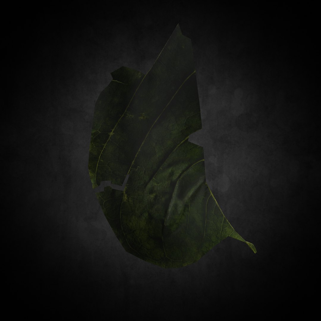 3D leaf https://p.turbosquid.com/ts-thumb/TC/d5W3uQ/mmA6xnkz/003/png/1599541876/1920x1080/fit_q87/cb183f283a8b0bd32f85b1198d095e93f7eb5895/003.jpg