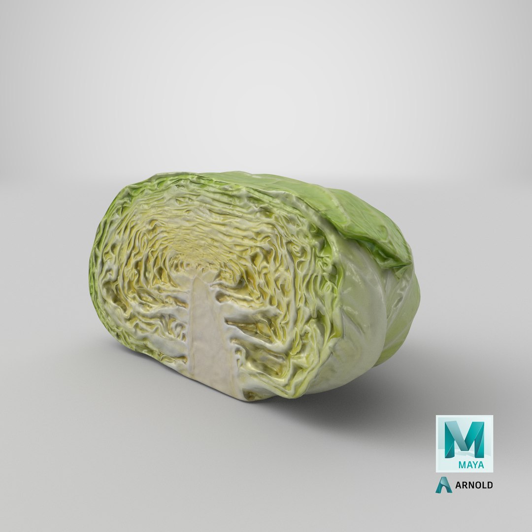 3D Flat Cabbage Half https://p.turbosquid.com/ts-thumb/TC/kHWdbr/D8/stemcell_maya_arnold_render/png/1694508306/1920x1080/fit_q87/27cbfd03b4eb0615d13fbef02076ce34028ed8ec/stemcell_maya_arnold_render.jpg