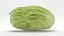 Flat Cabbage Half