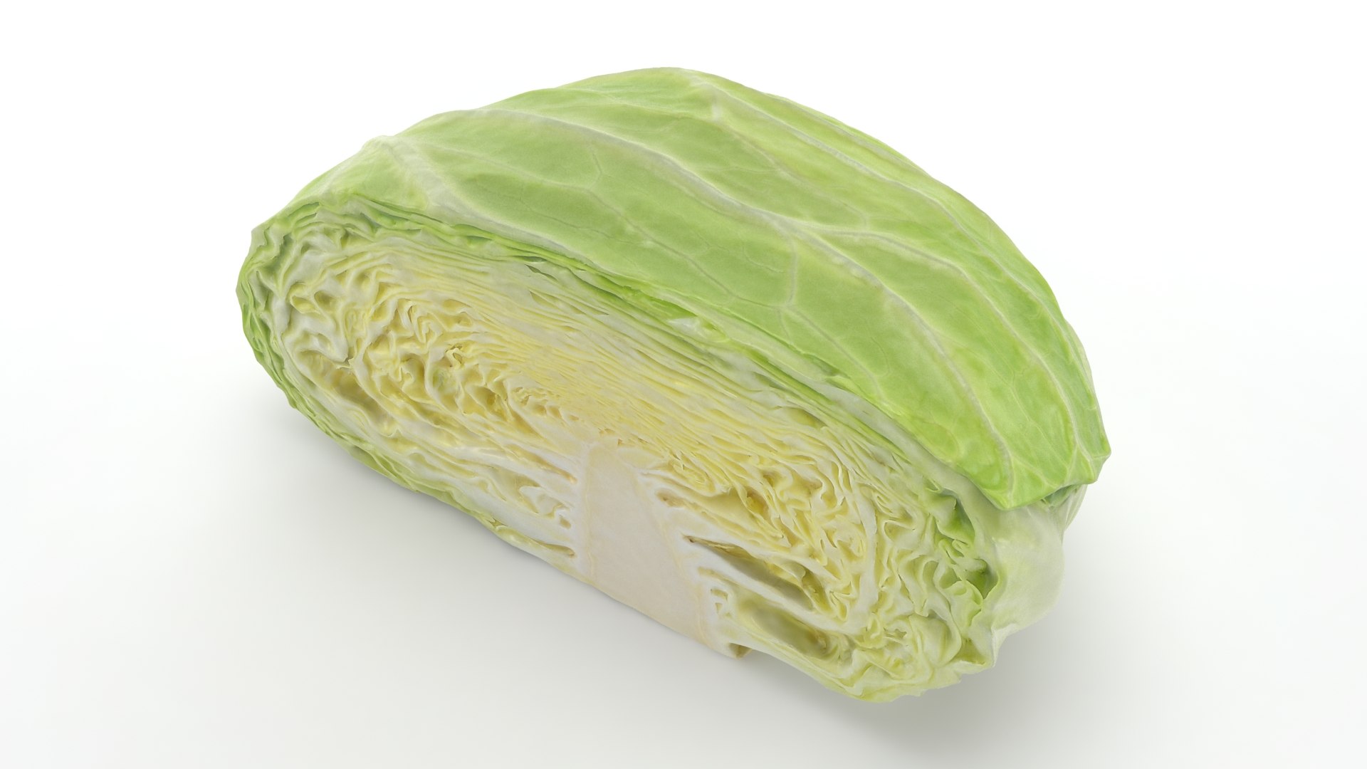 3D Flat Cabbage Half https://p.turbosquid.com/ts-thumb/TC/kHWdbr/e7/cabbageflat_half_b0002/jpg/1692620063/1920x1080/fit_q87/f652de559161feb119efed4470214f13c1fcbc2e/cabbageflat_half_b0002.jpg