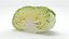 Flat Cabbage Half
