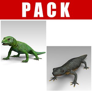 Salamander_Lizard