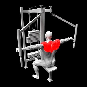 Rear Delt Fly Machine model