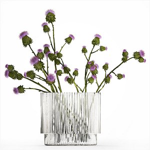 Green Bouquet Of  Dried Flowers Thistle thorns 516 3D model