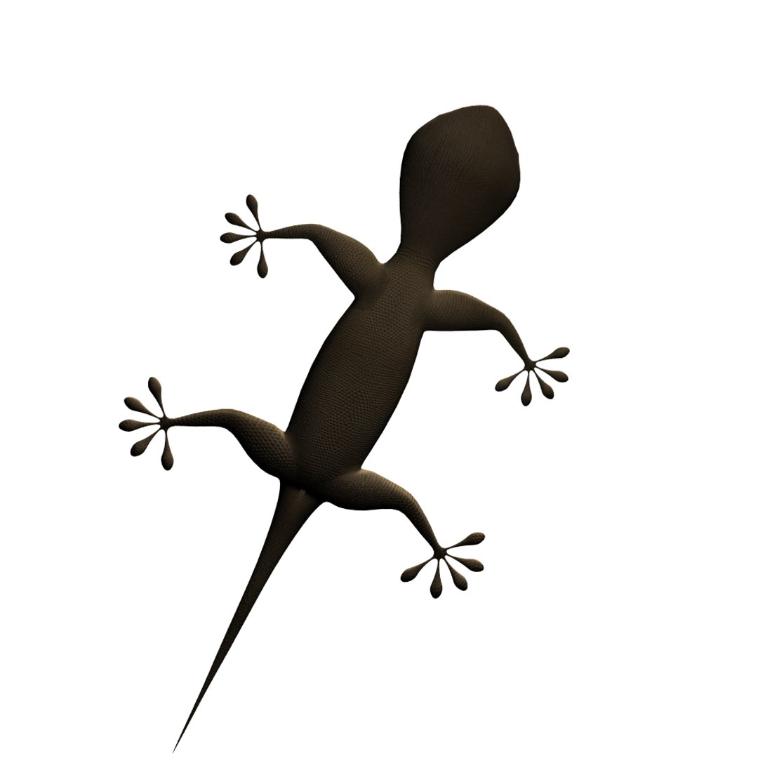 Home Lizard Max Free