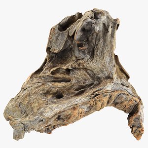 3D Tree Trunk Piece 09 - Raw Scan