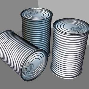 3d model tin