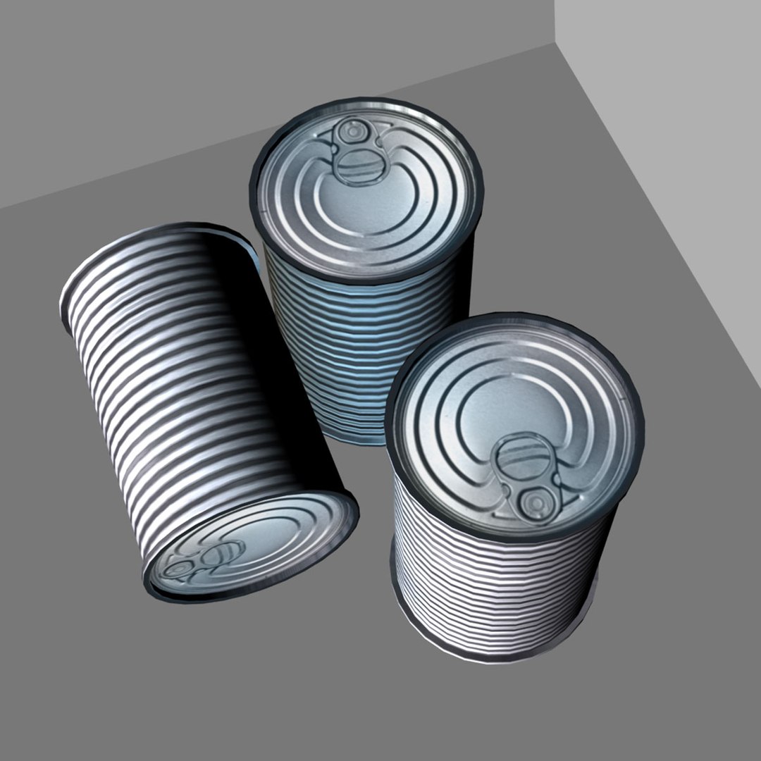 3d model tin