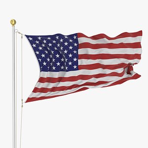 Animated Loop Flag 2