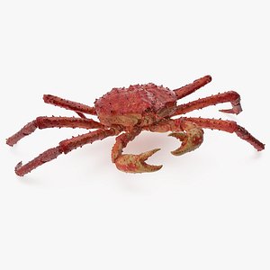 3D red king crab rigged