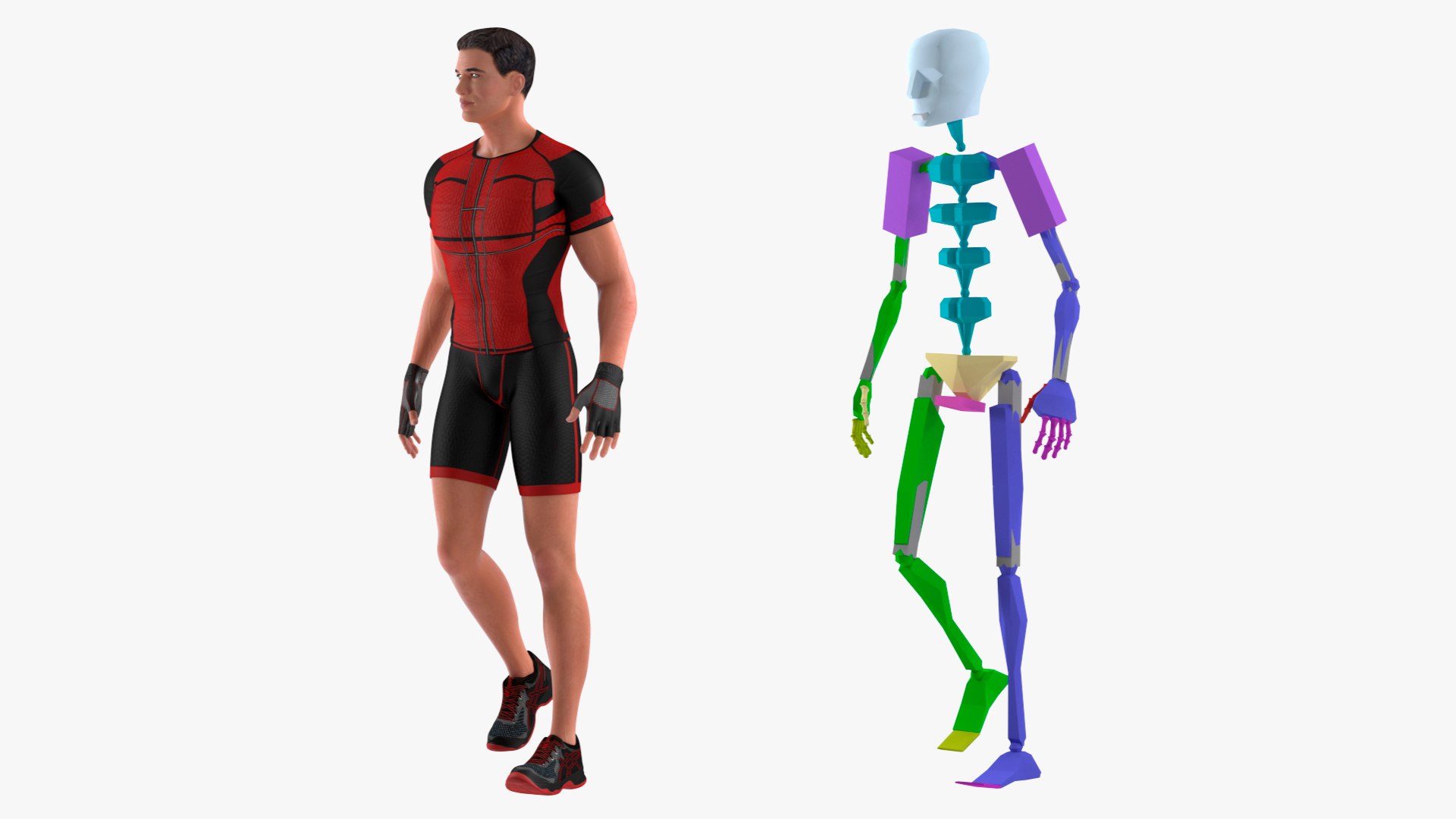 fitness trainer rigged 3D model https://p.turbosquid.com/ts-thumb/TD/Idz5KR/445vxuQF/fitnesstrainerriggedmb3dmodel005/jpg/1583888492/1920x1080/fit_q87/558b149ba7bef00e7107e6ada0d13568424b7bed/fitnesstrainerriggedmb3dmodel005.jpg
