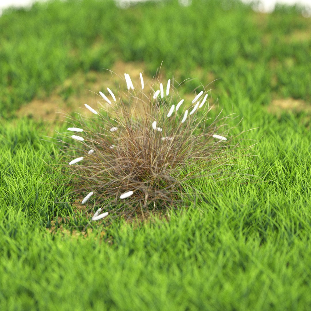 3D v-ray https://p.turbosquid.com/ts-thumb/TD/Kwl6Q1/CiunO6tP/r_80/png/1603528589/1920x1080/fit_q87/bfbd283bedd8faecc59d7d21bd6f0ee6c3a651af/r_80.jpg