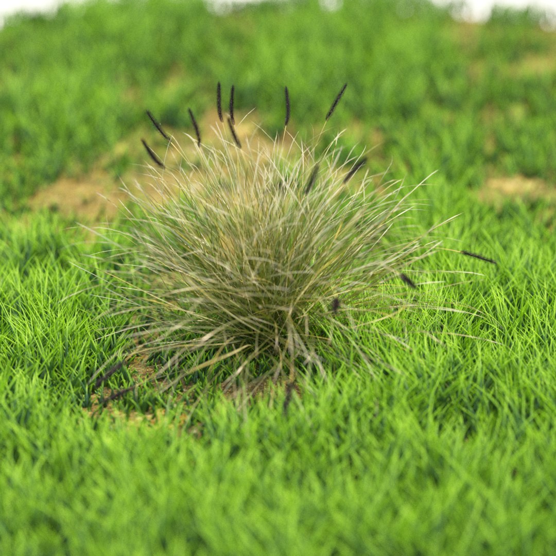 3D v-ray https://p.turbosquid.com/ts-thumb/TD/Kwl6Q1/KV6pDjFF/r_79/png/1603528560/1920x1080/fit_q87/af41ea56112a60ccdaa9e4083748925c496c9247/r_79.jpg