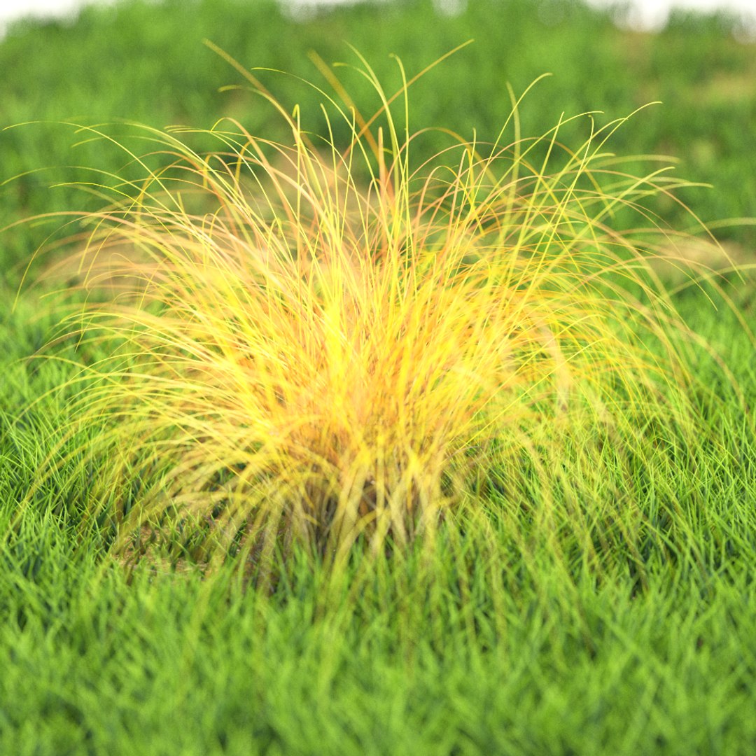 3D v-ray https://p.turbosquid.com/ts-thumb/TD/Kwl6Q1/KqIgopbM/r_77/png/1603528437/1920x1080/fit_q87/751f0a4fec6cad060b0b5e4ceab56a72db112dec/r_77.jpg