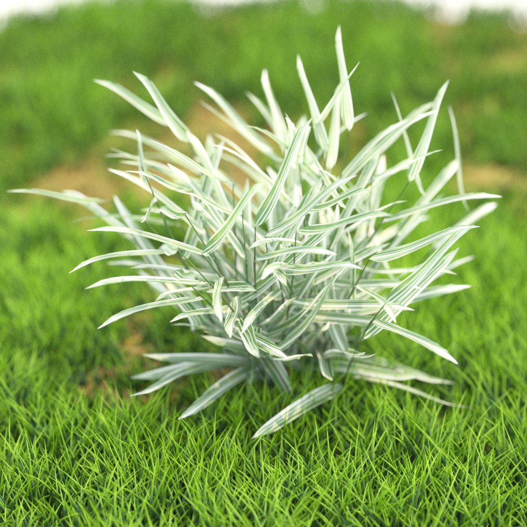 3D v-ray https://p.turbosquid.com/ts-thumb/TD/Kwl6Q1/jxwp9iSU/r_73/png/1603527896/1920x1080/fit_q87/0bab585faa557e1769a3326bed2afcc849e144be/r_73.jpg