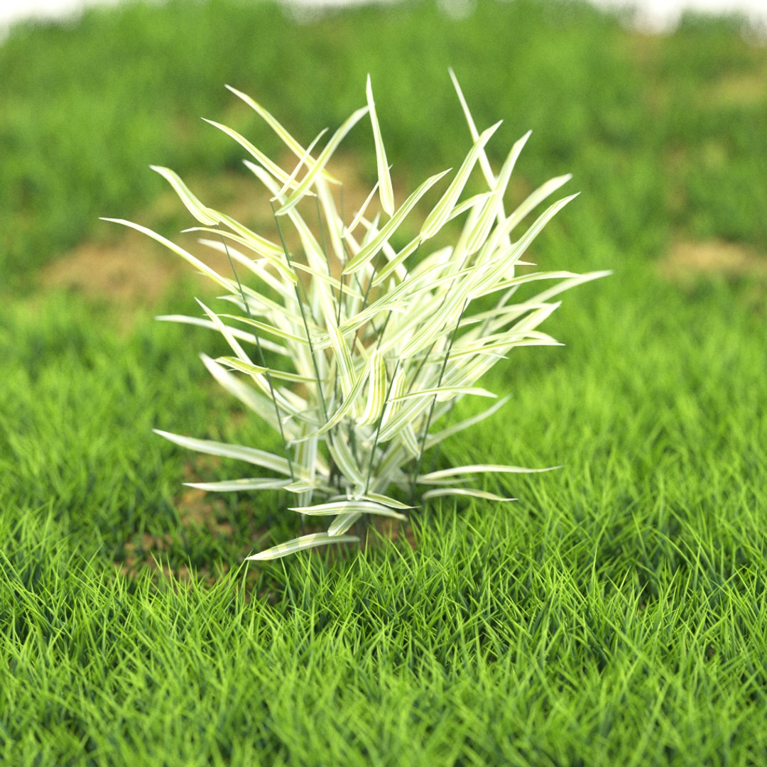 3D v-ray https://p.turbosquid.com/ts-thumb/TD/Kwl6Q1/kDC2DXSi/r_75/png/1603527964/1920x1080/fit_q87/7c9d67f0a8a3ea93fa634d66c5b500558d50be5d/r_75.jpg