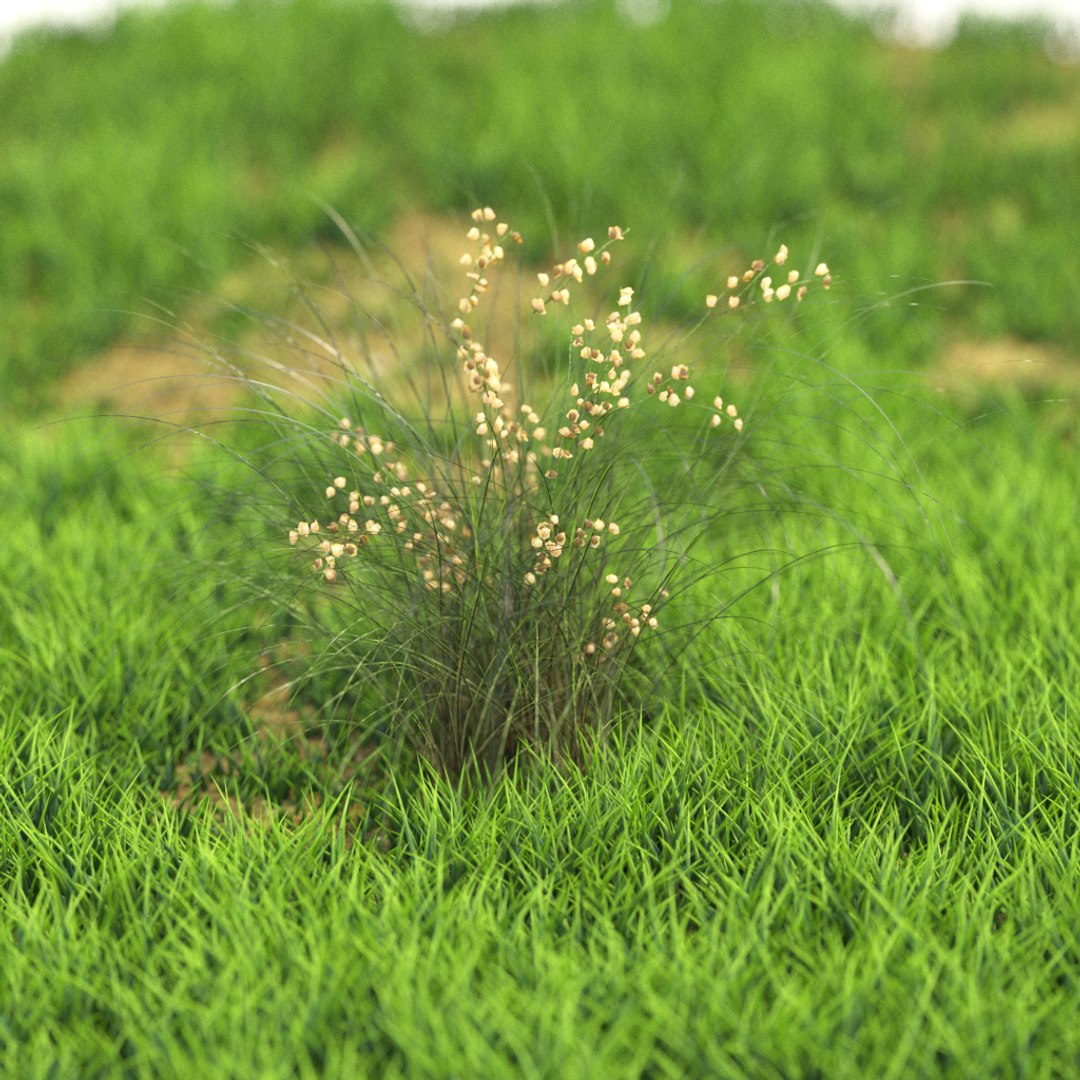 3D v-ray https://p.turbosquid.com/ts-thumb/TD/Kwl6Q1/lDI67M4A/r_76/png/1603528414/1920x1080/fit_q87/72bf420a9aa122319ffa6496aa8aadf7c3cdce1c/r_76.jpg