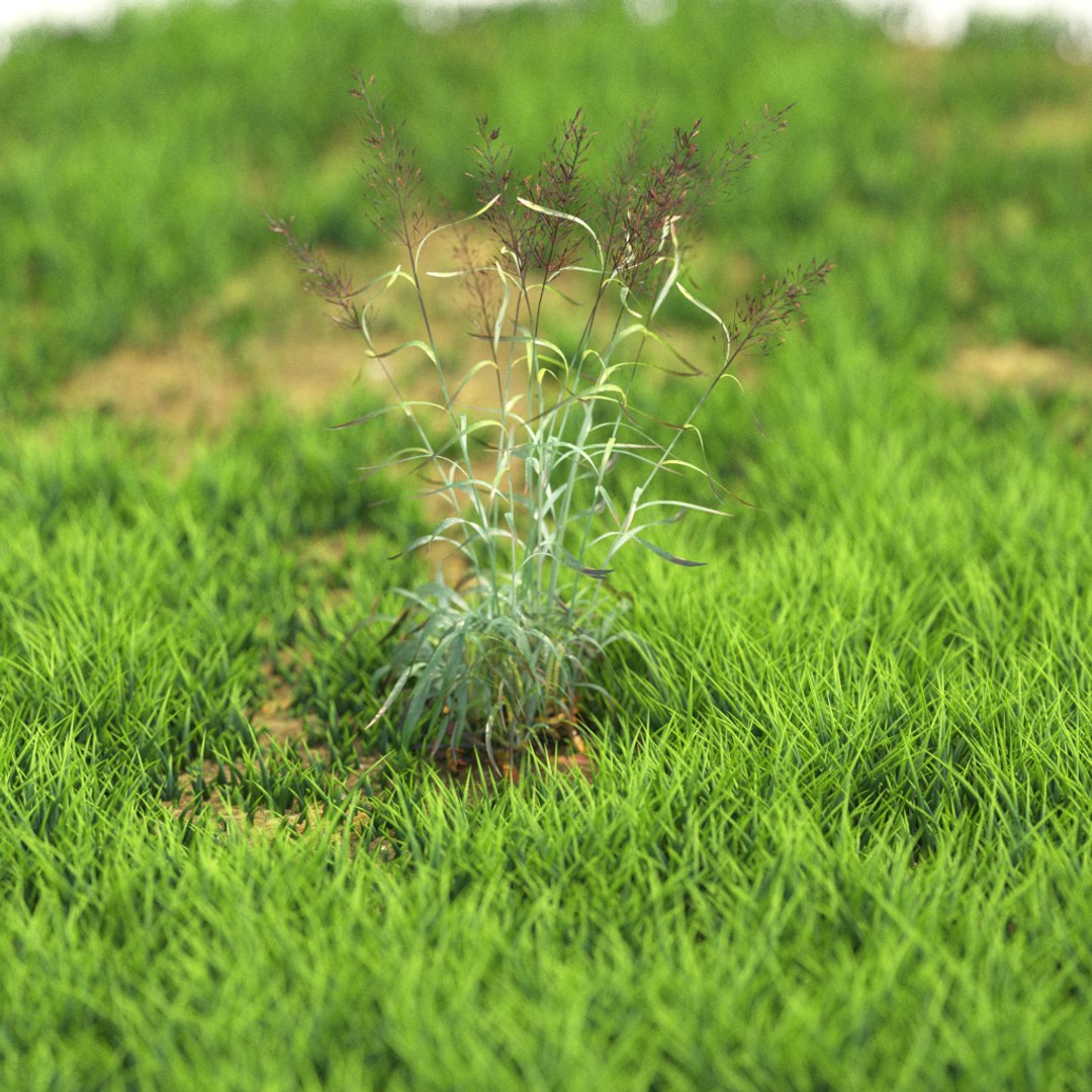 3D v-ray https://p.turbosquid.com/ts-thumb/TD/Kwl6Q1/qXRBYsCr/r_72/png/1603527808/1920x1080/fit_q87/2bdbbbf99568dd7d849881b105bc829b42e4a524/r_72.jpg
