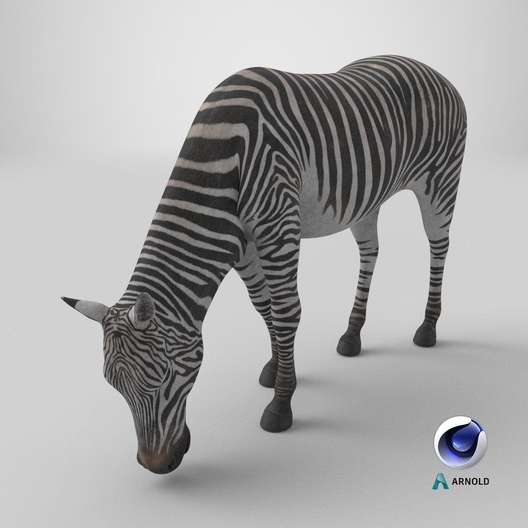 Zebra of Serengeti Eating 3D model https://p.turbosquid.com/ts-thumb/TD/LPYWAa/ds/stemcell_cinema_4d_arnold_render/png/1743757197/1920x1080/fit_q87/bbc51a6374ad238b4807332a446a74cc507b21c4/stemcell_cinema_4d_arnold_render.jpg