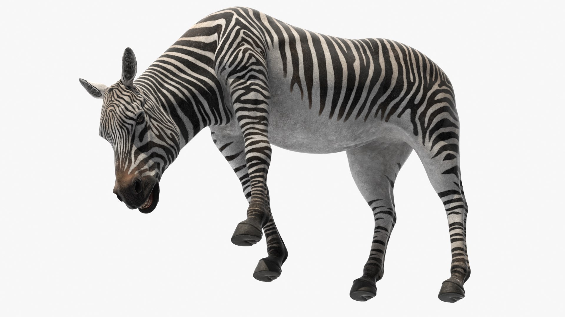 Zebra of Serengeti Eating 3D model https://p.turbosquid.com/ts-thumb/TD/LPYWAa/qw/zebra_of_serengeti_eating_007/jpg/1740711544/1920x1080/fit_q87/bae90b29e1bf813ce7a7a704df3ccccaac9a00fa/zebra_of_serengeti_eating_007.jpg