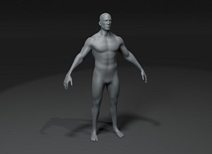 Male Body Base Mesh 3D Model 10k Polygons