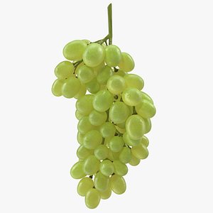 3D cluster green grapes model