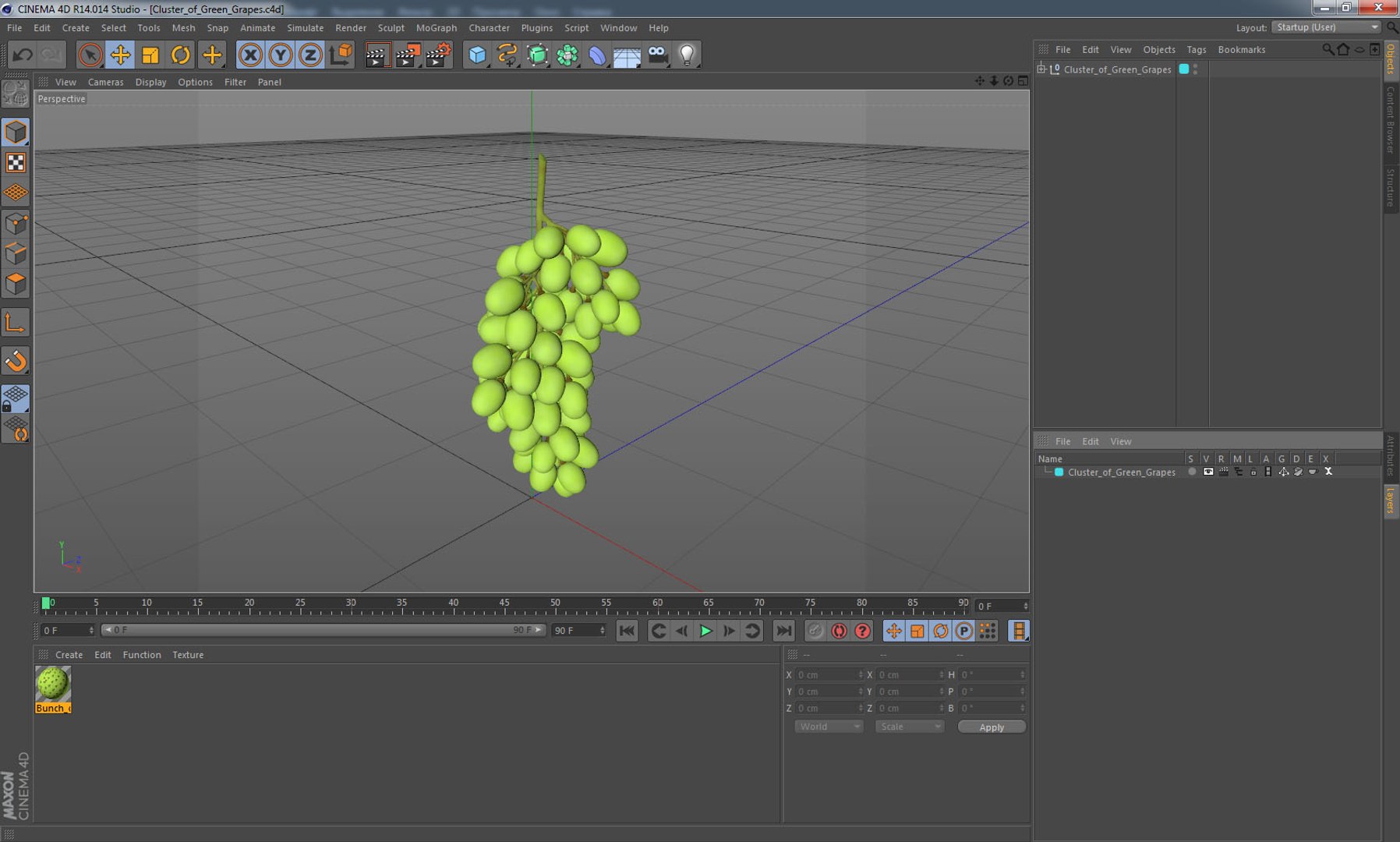 3D cluster green grapes model https://p.turbosquid.com/ts-thumb/TD/Zg7hX5/CqLjexiN/clusterofgreengrapes3dmodel016/jpg/1580402055/1920x1080/fit_q87/ed275ee88289fcdf35b8b6823d8a15f3656e8e07/clusterofgreengrapes3dmodel016.jpg