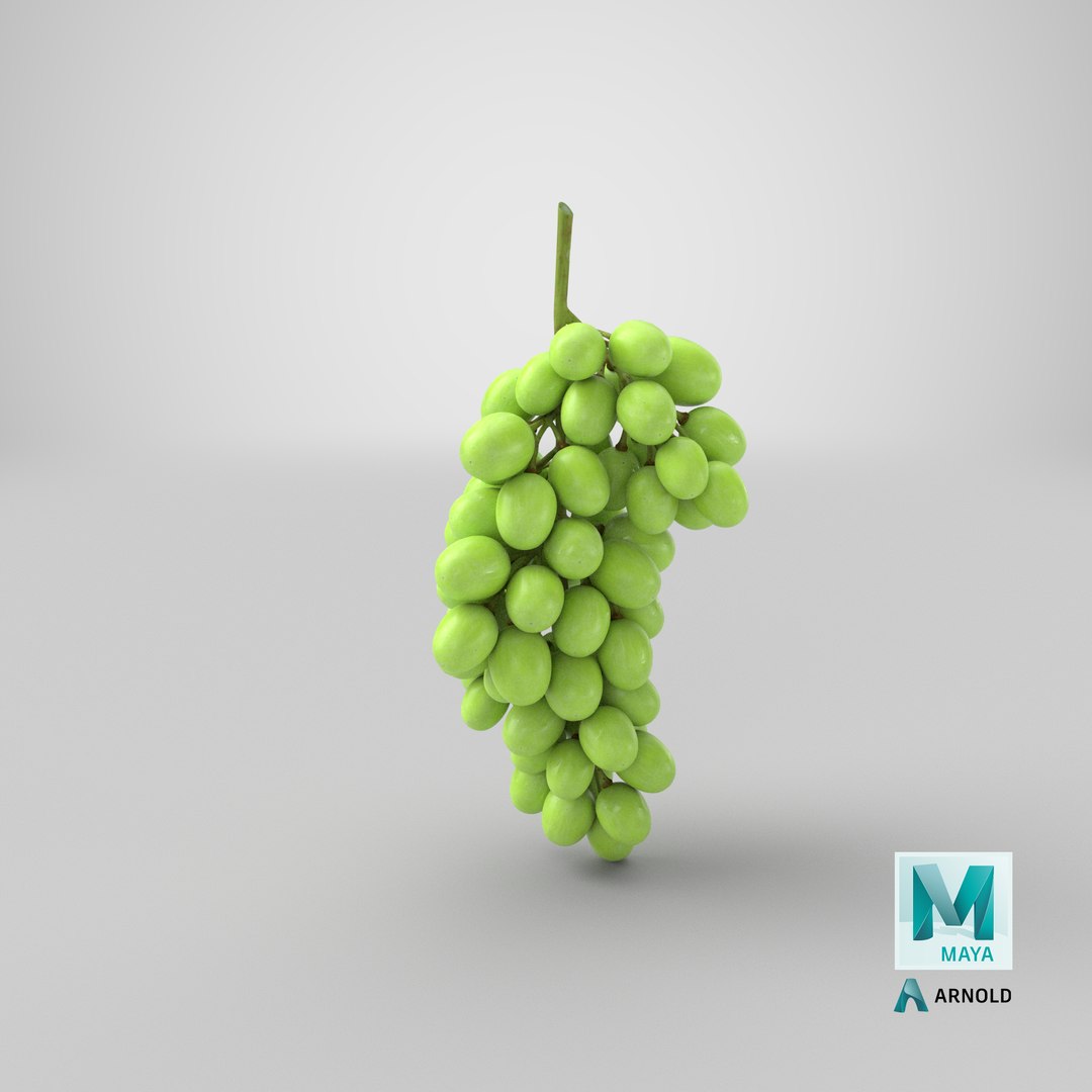 3D cluster green grapes model https://p.turbosquid.com/ts-thumb/TD/Zg7hX5/KJ/stemcell_maya_arnold_render/png/1636618156/1920x1080/fit_q87/7a037f652c0f390e98992e569eaf1437942dee93/stemcell_maya_arnold_render.jpg