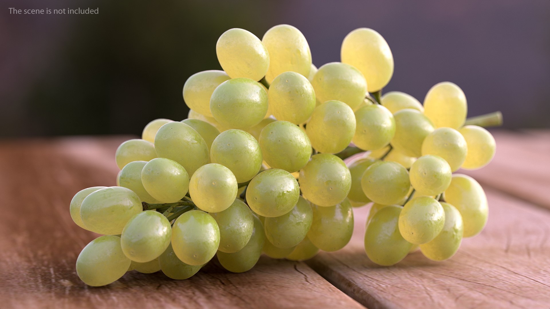 3D cluster green grapes model https://p.turbosquid.com/ts-thumb/TD/Zg7hX5/SurYaN5O/clusterofgreengrapes3dmodel002/jpg/1580401977/1920x1080/fit_q87/b4379804f1189f81196697f51f320d6df37c3e00/clusterofgreengrapes3dmodel002.jpg