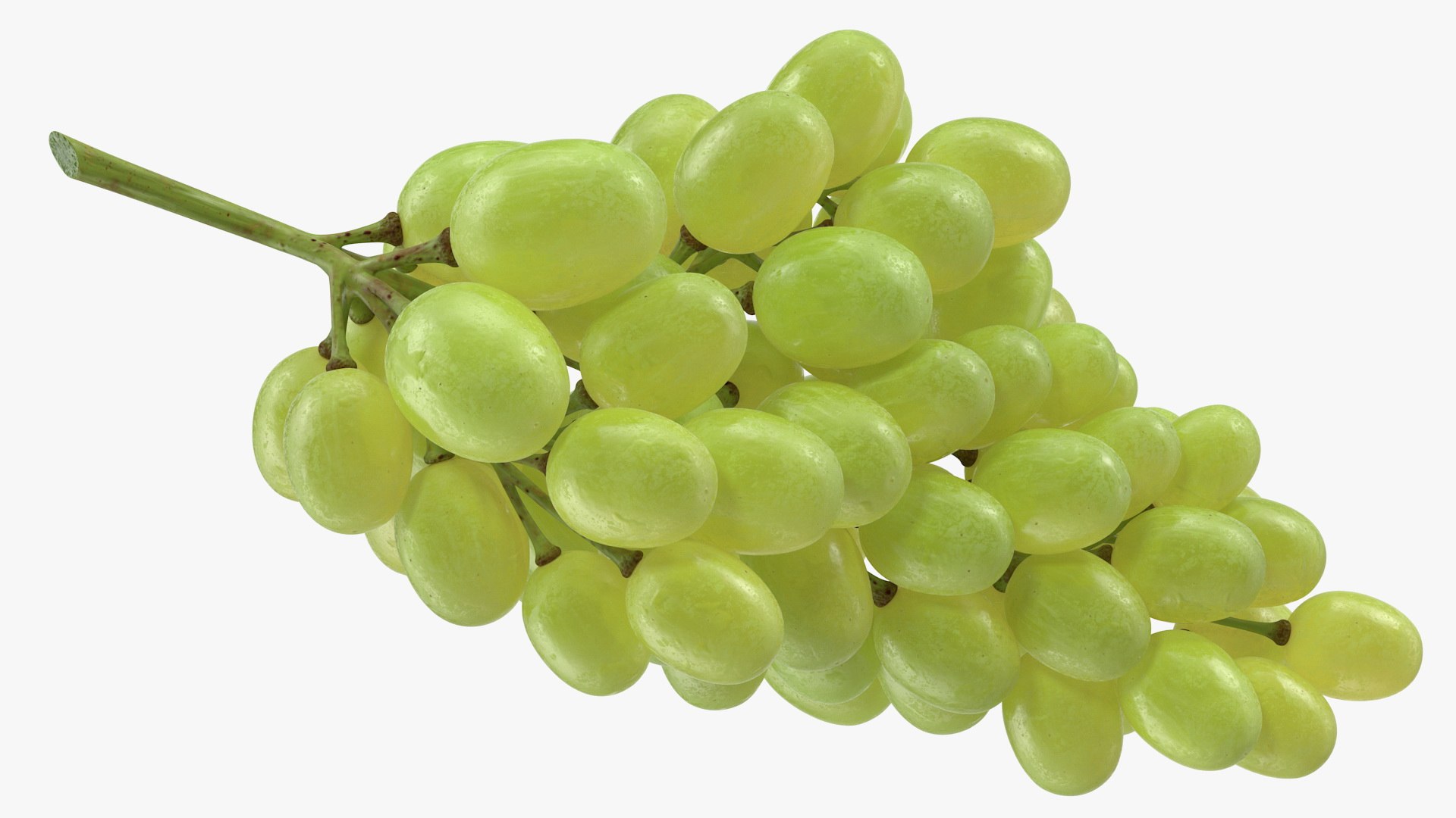 3D cluster green grapes model https://p.turbosquid.com/ts-thumb/TD/Zg7hX5/csc1gyWy/clusterofgreengrapes3dmodel005/jpg/1580401996/1920x1080/fit_q87/9b298d18b8f01b51777253b042dde275320a9b78/clusterofgreengrapes3dmodel005.jpg