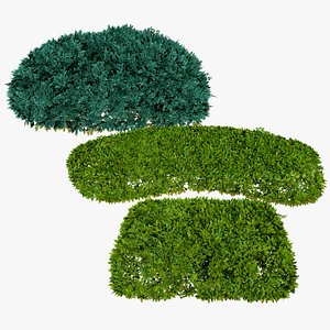 Low-Poly Blue Star Juniper Model