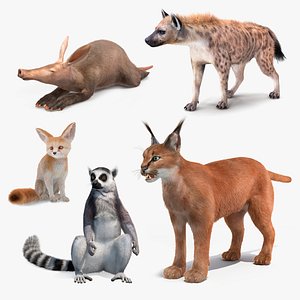 3D African Mammals Fur Collection 2