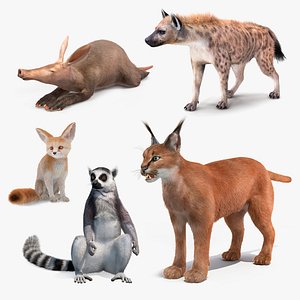 African Mammals Fur Collection 2