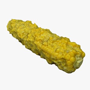 3D Corn Cob model